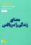تصویر  معنای زندگی را دریافتن (جیبی-شمیز)